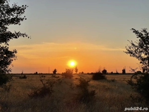 Teren Gepiu Colonie, 17 km de Oradea, lângă pădure | Drum public | Apă aprobată - imagine 4