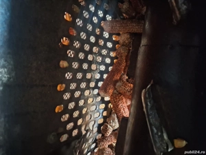 Batoză de porumb - imagine 2