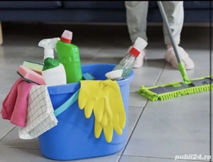 Curățenie la domiciu generală sau de întreținere 