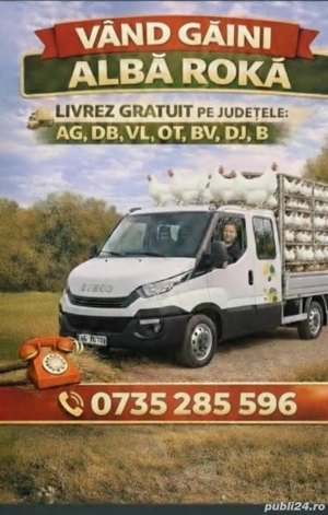 Vand gaini Isa brawn si roka livrare gratuita  la domiciliu - imagine 2