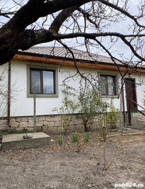 Casa constructie 2008 si teren 725mp   comuna Pietroasele BZ   cu imbunatatiri   Pret: 65.000  neg.  - imagine 4