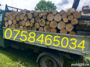 s.c vinde lemn foc fag,carpen,frasin,salcâm.și esență moale tei și molid