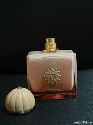 Amouage Guidance 46 