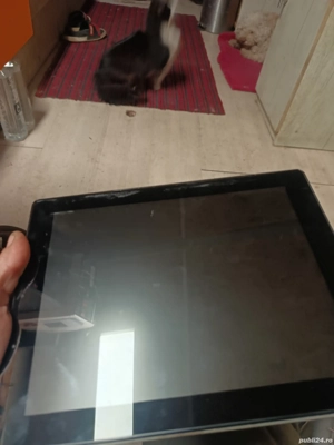 Tablete defecte pentru piese  - imagine 2