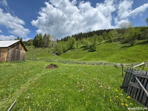 Vânzare teren 3,5 ha cu casă și anexe, Breaza de Sus, Suceava - imagine 4