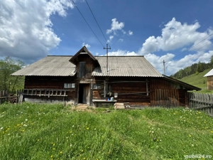 Vânzare teren 3,5 ha cu casă și anexe, Breaza de Sus, Suceava - imagine 2
