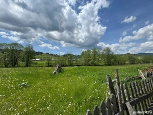 Vânzare teren 3,5 ha cu casă și anexe, Breaza de Sus, Suceava - imagine 5
