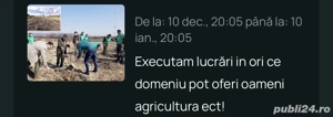 Pot oferi oameni la muncă in ori ce domeniu și multe altele nu dacă este cineva interesat mai multe  - imagine 2