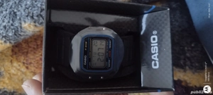 ceas Casio f91w