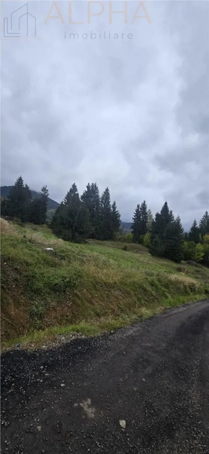 TEREN DE VANZARE COLIBITA _4600 EUR AR - imagine 3