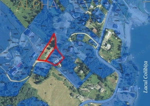 TEREN DE VANZARE COLIBITA _4600 EUR AR - imagine 2