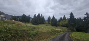 TEREN DE VANZARE COLIBITA _4600 EUR AR - imagine 4