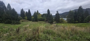 TEREN DE VANZARE COLIBITA _4600 EUR AR - imagine 6