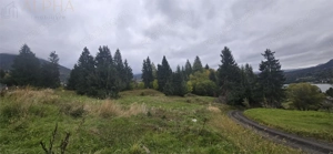 TEREN DE VANZARE COLIBITA _4600 EUR AR - imagine 5