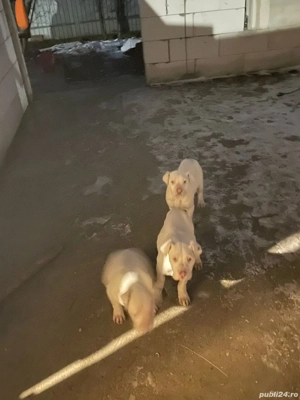 pentru detalii dați mai jos !