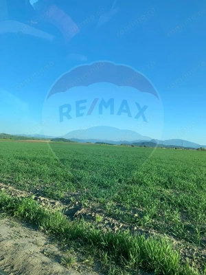 PUZ aprobat | Complex Agroturistic, Unități de Cazare, Restaurant - imagine 11