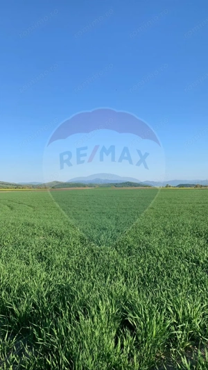 PUZ aprobat | Complex Agroturistic, Unități de Cazare, Restaurant - imagine 10