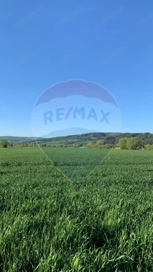 PUZ aprobat | Complex Agroturistic, Unități de Cazare, Restaurant - imagine 9