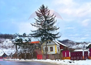 Casă in Mosna - curte 780mp - Zona centrala - imagine 5