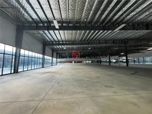 Inchiriere depozit hala spatiu industrial showroom Afumati - DN2 - Dorally, Ilfov - imagine 14