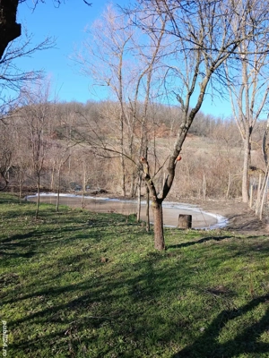 Teren intravilan Teslui  Olt