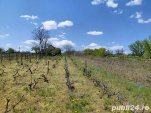 Vand teren extravilan 3000mp