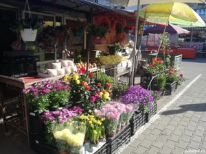 De vanzare chiosc termopan