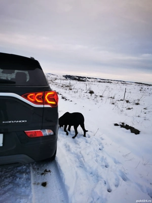 Korando 2022 Style +