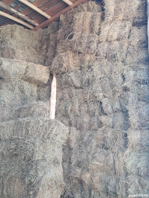 Baloti de fan - imagine 3