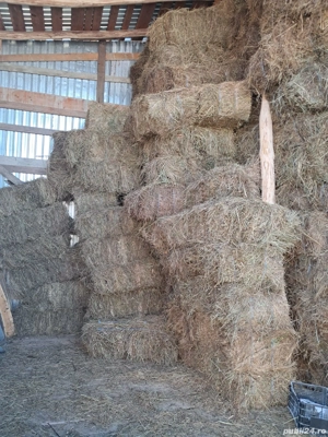 Baloti de fan - imagine 2