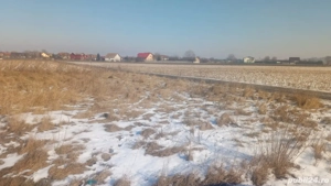 Teren intravilan 532 mp in Bod