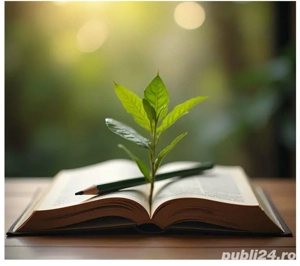 Meditații la limba și literatura română. Pregătire pentru evaluare