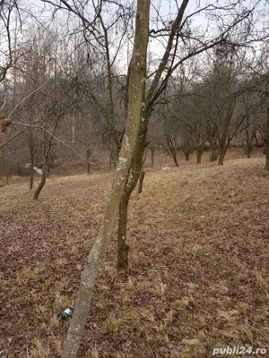 Teren 1700 mp Olanesti sat Str mura 