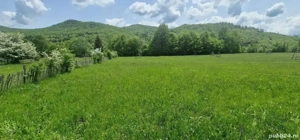 Vand 750 mp teren intravilan, plat, Valea Doftanei Poduri - imagine 5