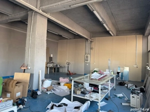 Theodor Pallady, depozit 183 mp