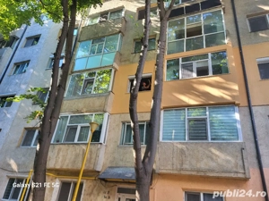 Persoana Fizica Autorizata  - imagine 3