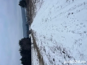 Teren extravilan Baiculesti - imagine 7