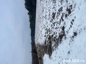 Teren extravilan Baiculesti - imagine 5