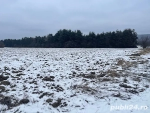 Teren extravilan Baiculesti - imagine 6