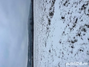 Teren extravilan Baiculesti - imagine 2