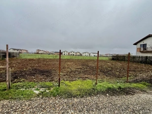 Lot Intravilan 644mp Mamina - Berceni | utilitati: Curent | #MG2R - imagine 3