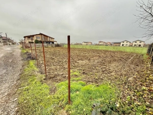 Lot Intravilan 644mp Mamina - Berceni | utilitati: Curent | #MG2R - imagine 5
