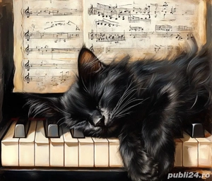 Ofer lectii de pian pentru copii