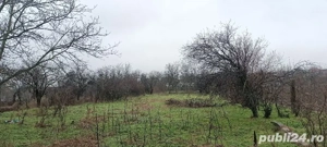 Teren Intravilan Draganesti-Olt