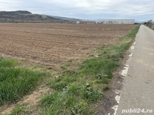 Parcele de teren la asfalt in Bacia Hunedoara