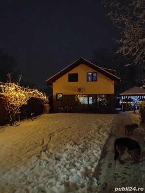 Vand casa in Lugojel - imagine 2