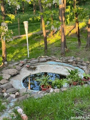 Vand casa in Lugojel - imagine 5