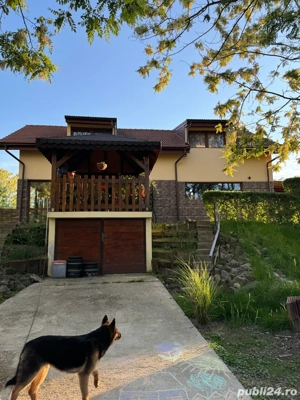 Vand casa in Lugojel - imagine 4