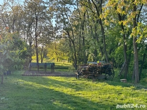 Vand casa in Lugojel - imagine 3