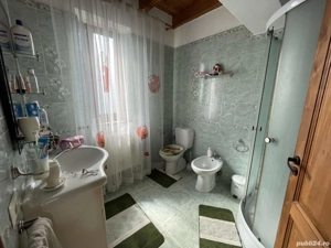 Vila P+M, an 2021, teren 3600 mp, D=50 m, Brancoveni - imagine 19